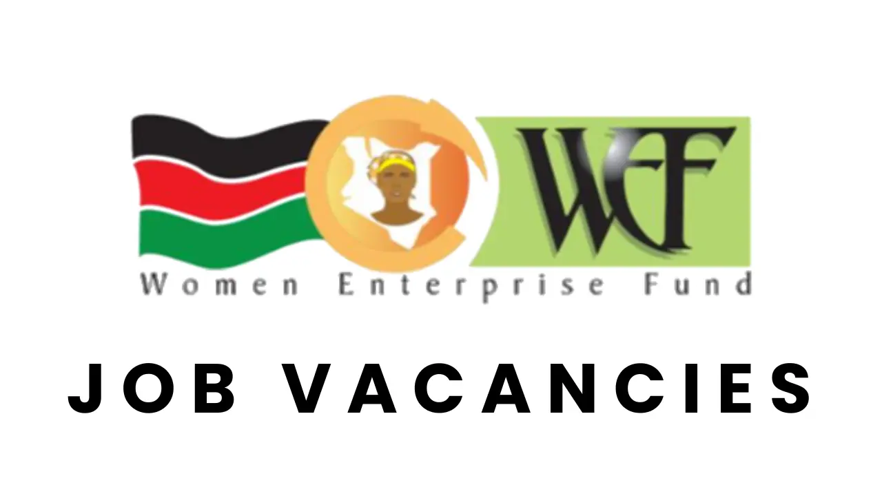 Women Enterprise Fund Recruitment Job Application, How to Apply