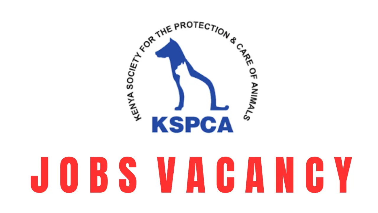 KSPCA Recruitment Check Essential Qualifications Required and How to Apply