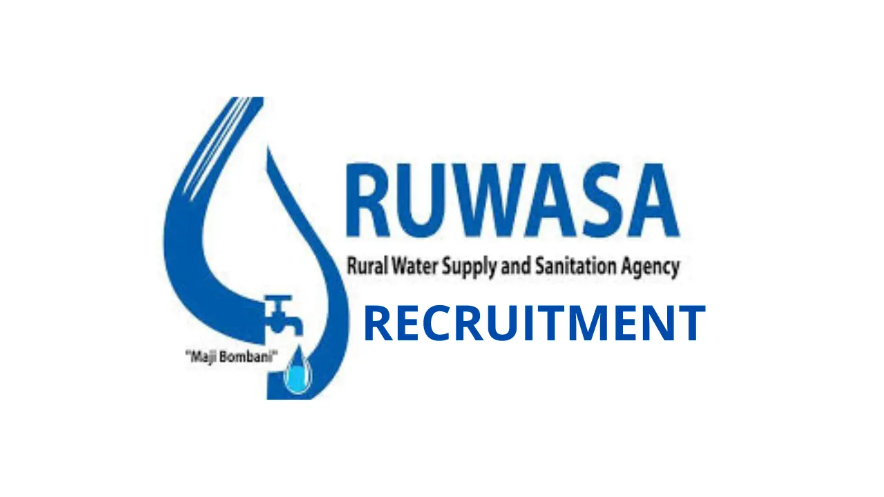 RUWASA Recruitment 13 Positions, General Requirements For the Open Positions
