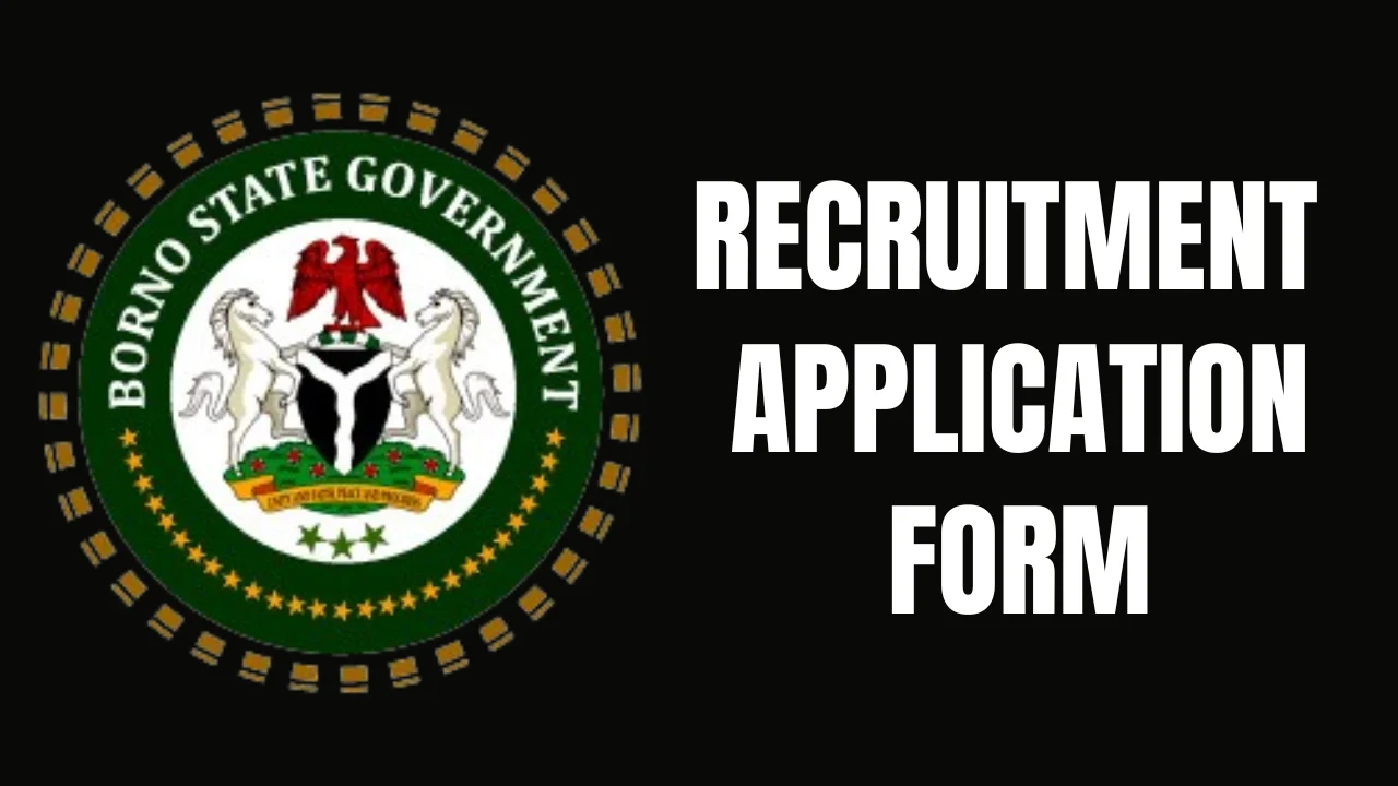 Borno State Government Recruitment Application Form Portal (www.bornostate.gov.ng)
