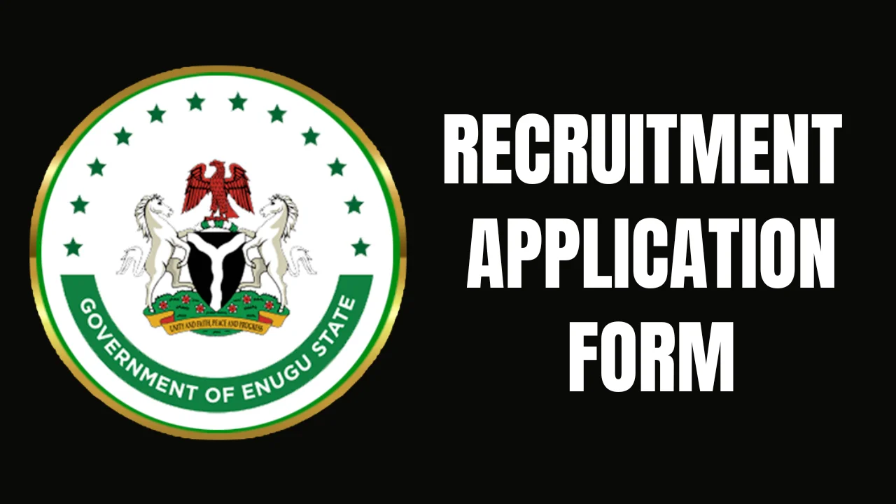 Enugu State Government Recruitment Application Form Portal (www.enugustate.gov.ng)